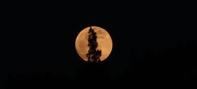 Houston astros snoopy and charlie watching blood moon happy