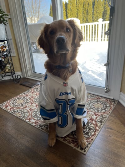 Detroit lions store hockey jersey