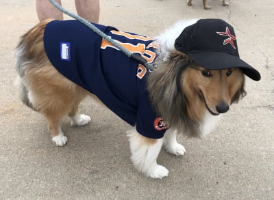 KPRC2 / Click2Houston - PLAY BALL! We love your pets decked out for Houston  Astros #baseball! Ahead of tonight's game, share your photos of furry  friends decked out in #Astros gear with