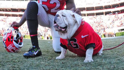 Bulldogs To Watch: Georgia vs. Florida State 2023 – Bulldawg Illustrated