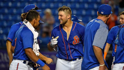 St. Lucie Mets Home