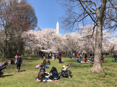 Why the Northern Hemisphere is about to have its earliest spring in 124  years