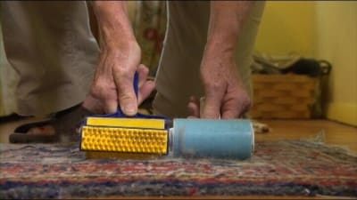 As Seen On TV Lint Rollers TESTED! 