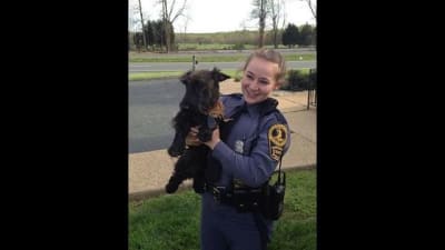 K9 Rescue of VA