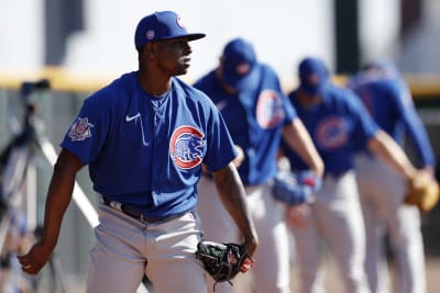 MLB spring training, and what this means for the Chicago Cubs