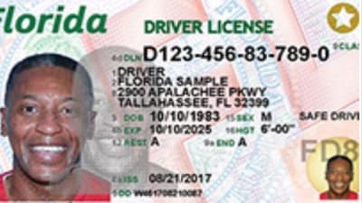 Check out Florida's new driver's licenses and ID cards 