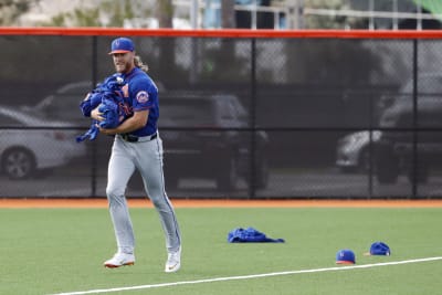 Mets Stars Noah Syndergaard and Jacob DeGrom Reveal Their MLB