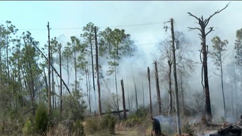 Central Florida fire crews to help fight Bay count wildfire