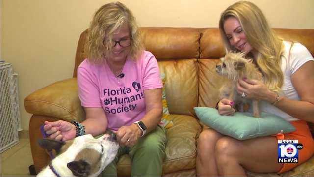 Model Hooker Lauderhill Call girl Lauderhill