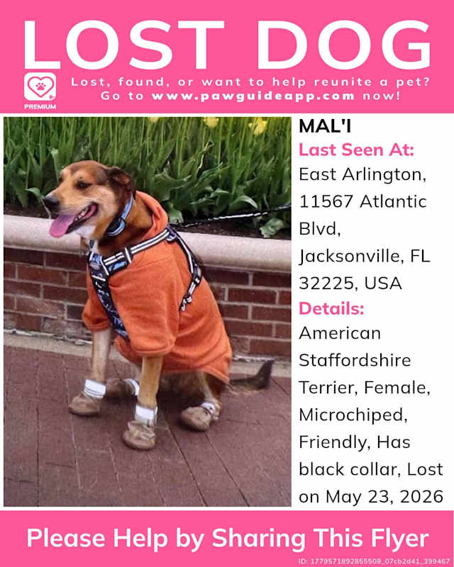 A Navy veteran with PTSD won't leave Jacksonville without his service dog