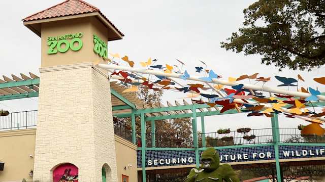 zoo Admission to the San Antonio Zoo is $8 on Friday for Locals Day