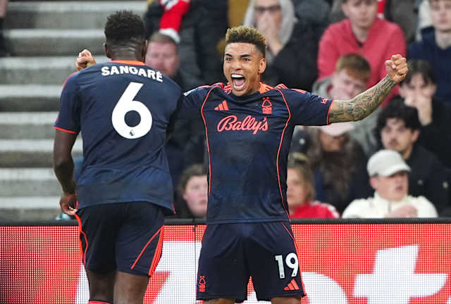 Forest takes big step to ensuring Premier League survival by drubbing  Sunderland