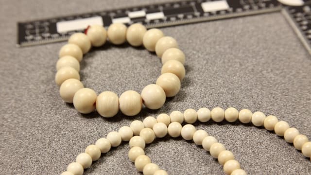 Elephant horn necklace store