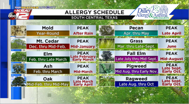 The average schedule for several allergens around South Central Texas
