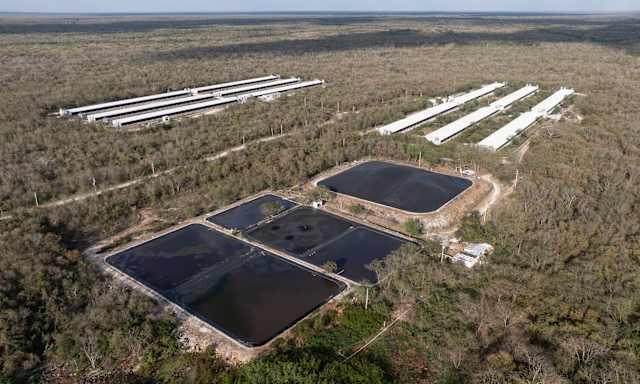 Los cenotes de Yucatán, sagrados para los mayas en México, podrían tener derechos propios