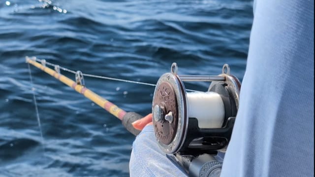 arashi fishing lures Storm Arashi Spinbait main image 1