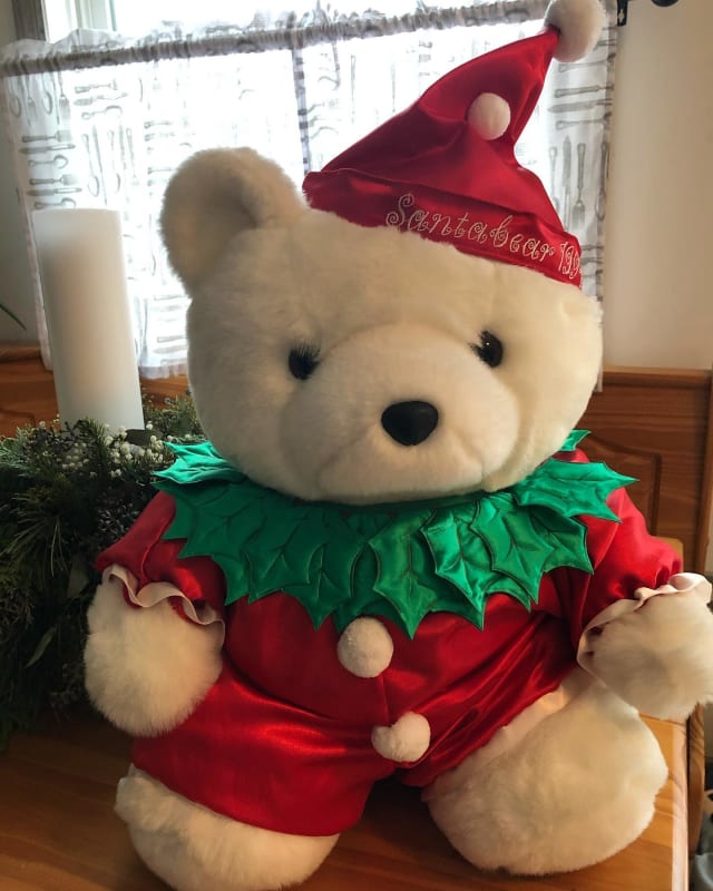 TRIPSHION SANTA BEAR LOGO GRAPHIC フーディー 9colors An official list of every Santa Bear made, from 1985-2007