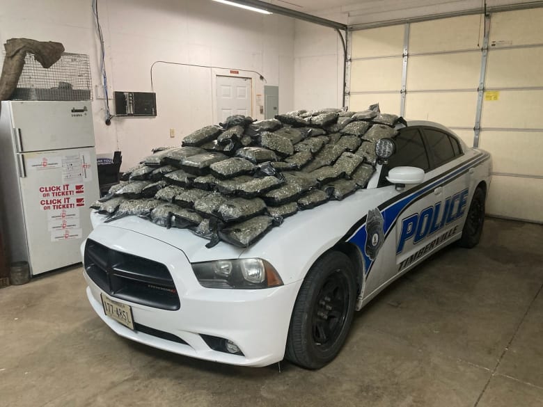 Another angle of the seized marijuana