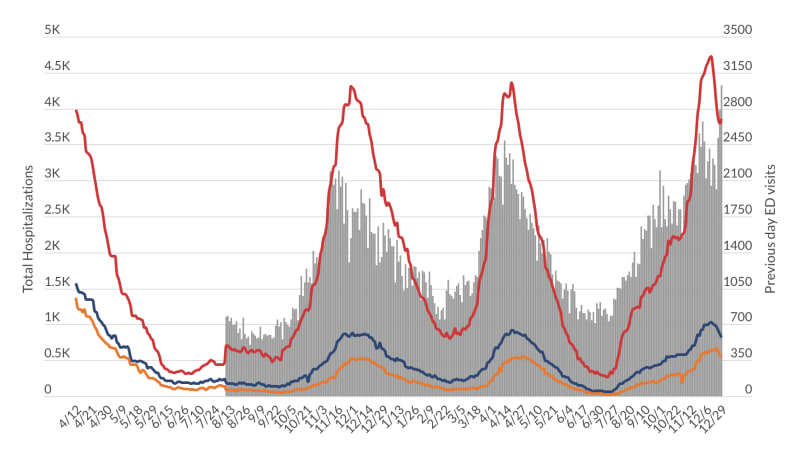 Michigan hospital data as of Dec. 29, 2021.