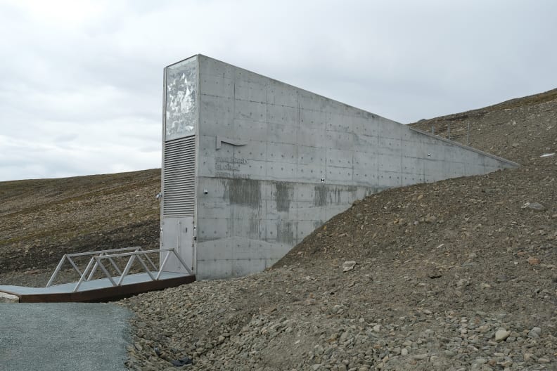 The entrance to the Svalbard Global Seed Vault stands on Svalbard archipelago far north of the Arctic Circle on July 29, 2020 in Longyearbyen, Norway. The Svalbard Global Seed Vault is an internationally funded repository for storing seeds from plants from across the globe deep underground at minus 18 degrees Celsius as a measure to protect the seeds against conditions of global chaos.