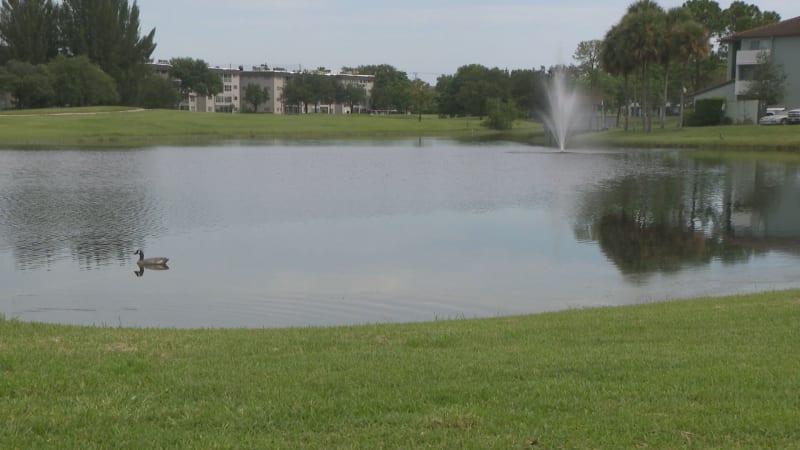 Man drowns in Davie lake
