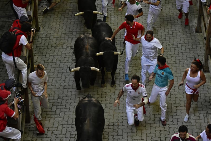 Cual es el patron de pamplona