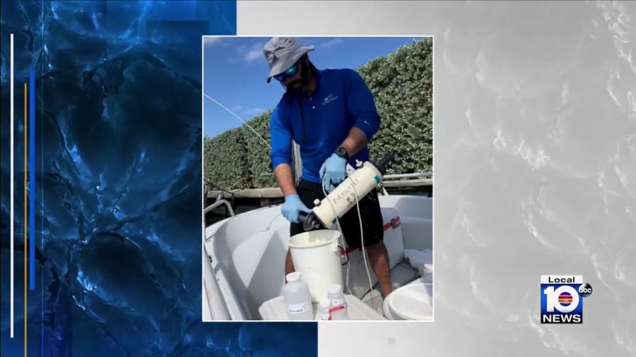 Investigation into Biscayne Bay fish kill continues