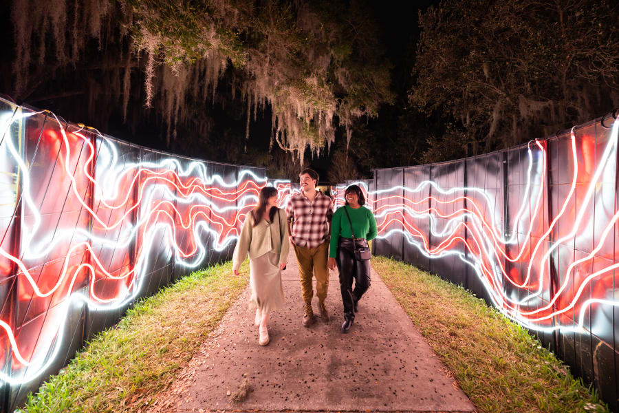 Dazzling Nights at Leu Gardens