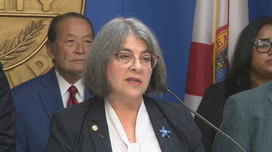 Miami-Dade County Mayor Daniella Levine Cava speaks about housing crisis.