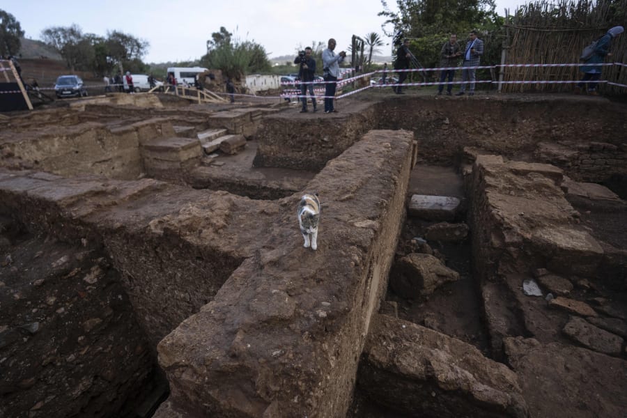 A cat walks along recently unearthed archaeological ruins, in Chellah necropolis in Rabat, Morocco, Friday, Nov. 3, 2023. Archaeologists have unearthed more ruins of what they believe was once a bustling port city near the capital of modern-day Morocco, digging out thermal baths and working class neighborhoods that the country hopes will lure tourists and scholars in the years ahead. (AP Photo/Mosa'ab Elshamy)