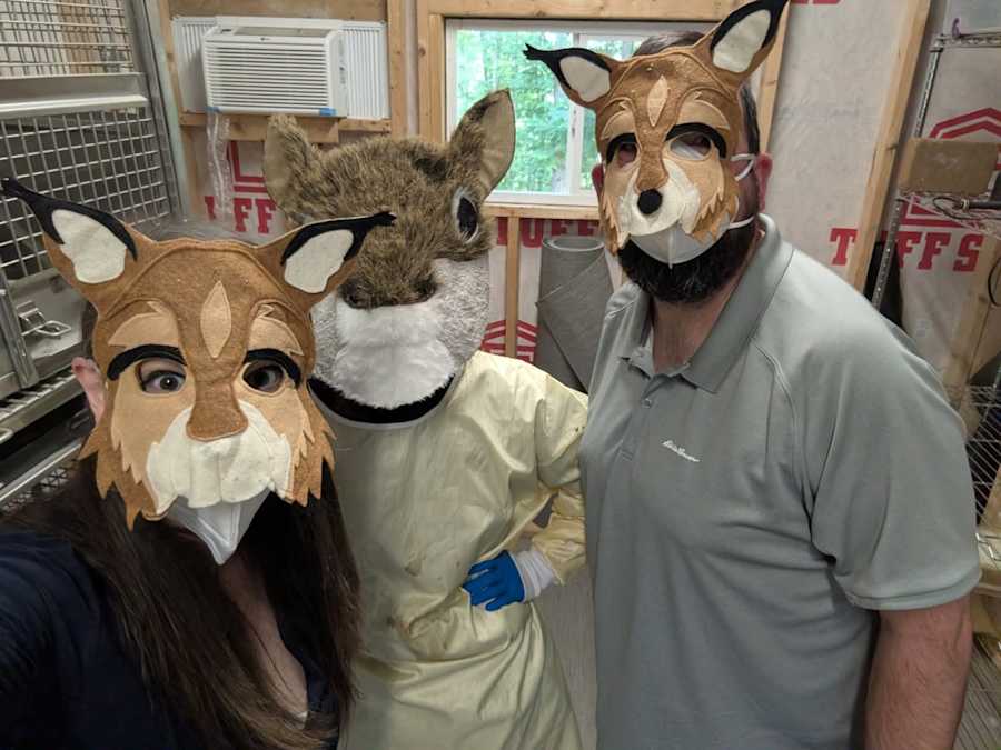Virginia Center Masters Care for State's Only Wildcat - Image 4