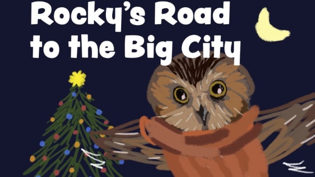 Times Square Christmas Tree 2022 Owl Rocky The Adorable Owl Found In Nyc Rockefeller Tree Is Featured In New Children S Book