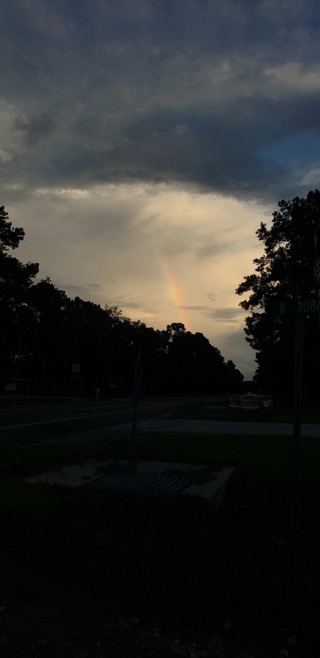 🌈 Rainbows are always good. 