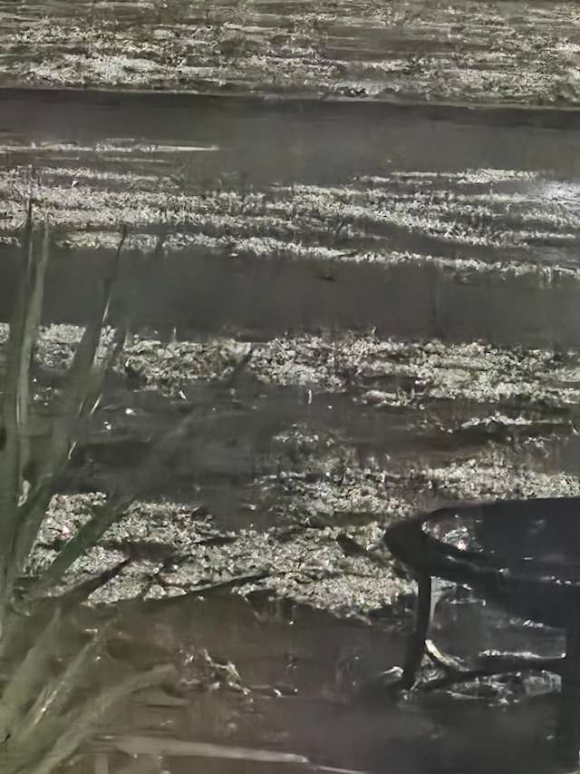 Part of our front yard/road covered in hail