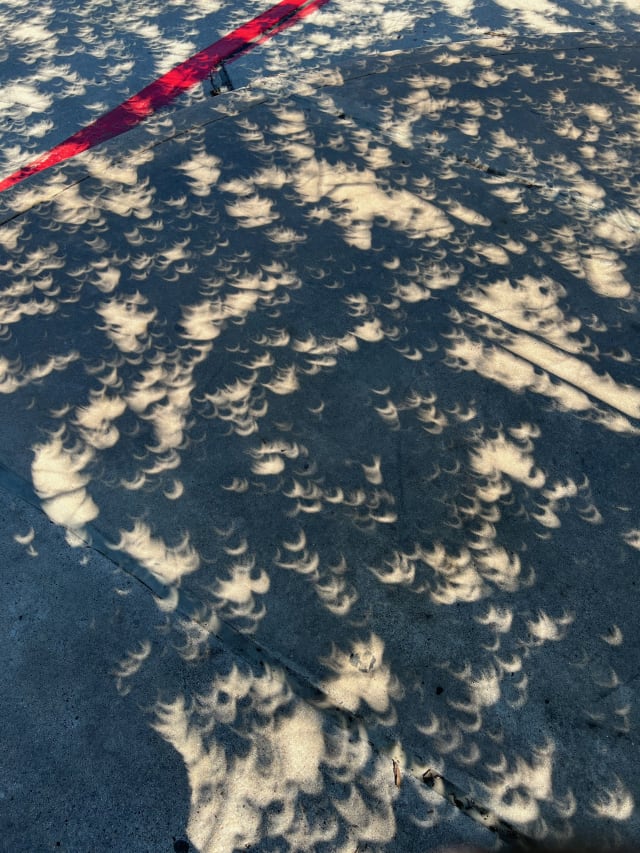 Eclipse shadows through the trees at H‑E‑B parking lot. 