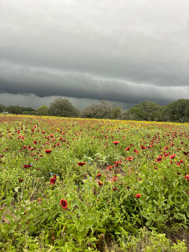 Storm rolling in from the West!