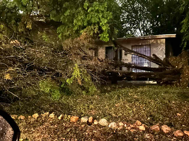 Tree fell infront of house just thankful it wasn't on top of my house 