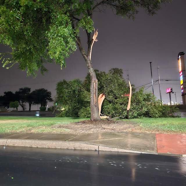 Photos from The forum @olympia parkway