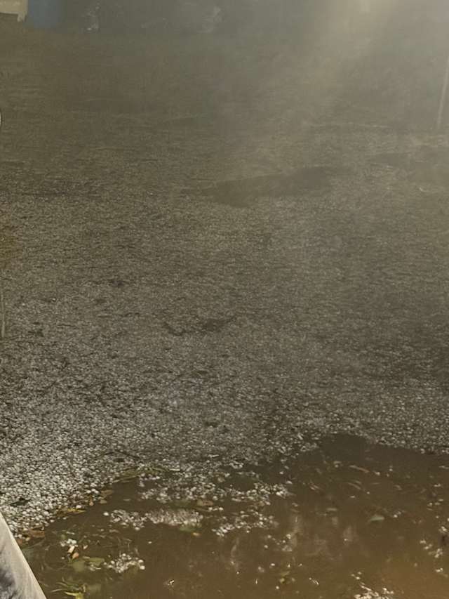 hail covered the ground looked like snow. pleasanton, tx