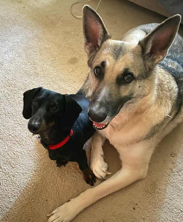 Taking a break from playing with my buddy!