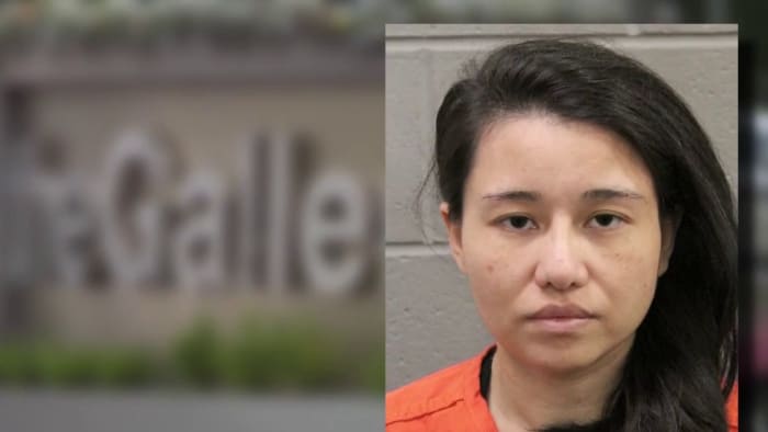 Galleria stabbing suspect allegedly showed up at ex-husband's door in strange outfit to move back in hours after murder - Vimarsana News