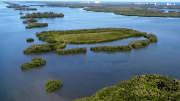 Florida leaders energize efforts to replace leaking septic systems to save marine life