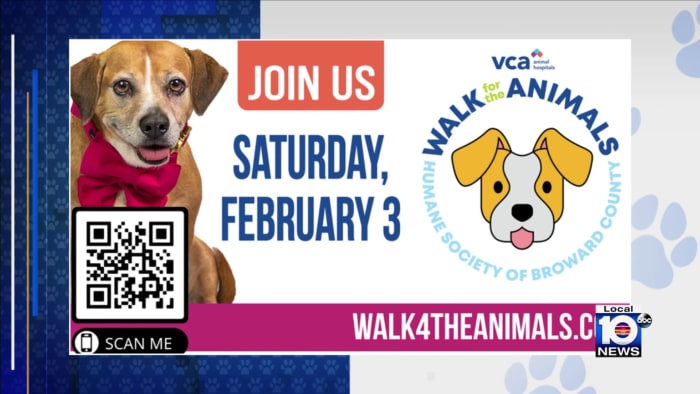 HSBC ready to find homes for pets at Walk for the Animals event in Fort Lauderdale