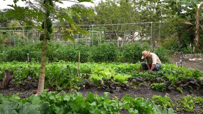 Timebanks are feeding the homeless, growing a stronger Florida community