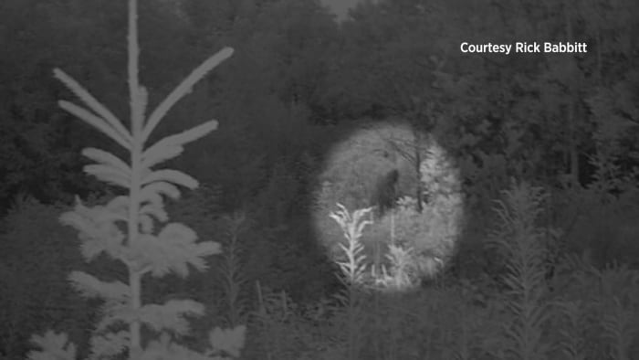 Michigan State Police: Have you seen Bigfoot?