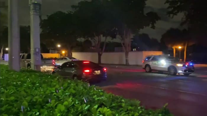 Father kills son and daughter before turning gun on himself