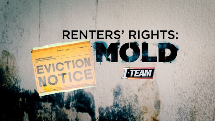 Mold plagues NJ renters who have nowhere to turn
