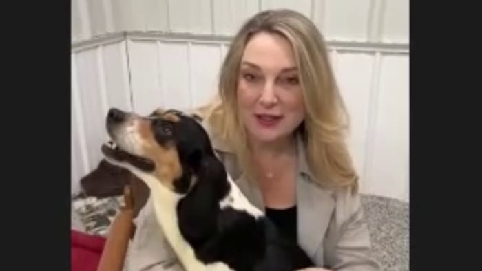 Hundreds of dogs, cats used for testing are free for the first time - Vimarsana News