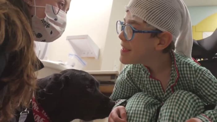 PHOTOS: Facility dogs show Astros spirit at Children's Memorial Hermann  Hospital