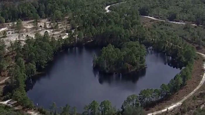 Split Oak Forest battle intensifies between Orange, Osceola counties - Vimarsana News